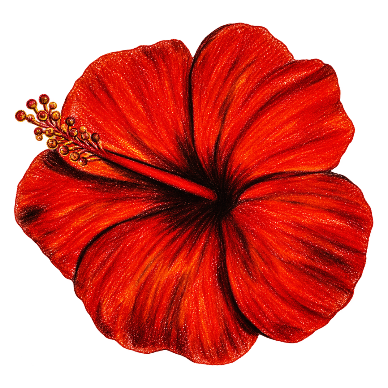 Scarlet flower logo